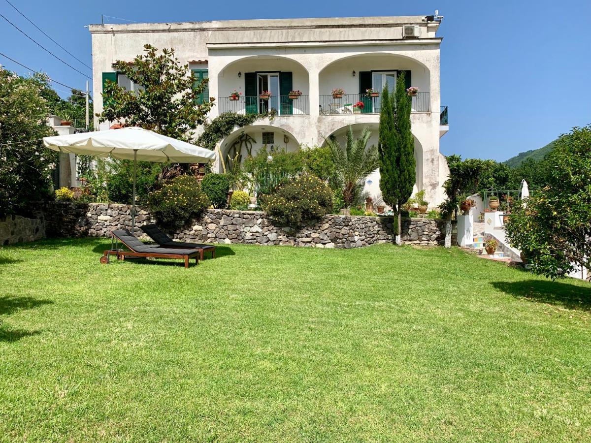 Villa Vincenzo Di Meglio Barano d'Ischia ภายนอก รูปภาพ