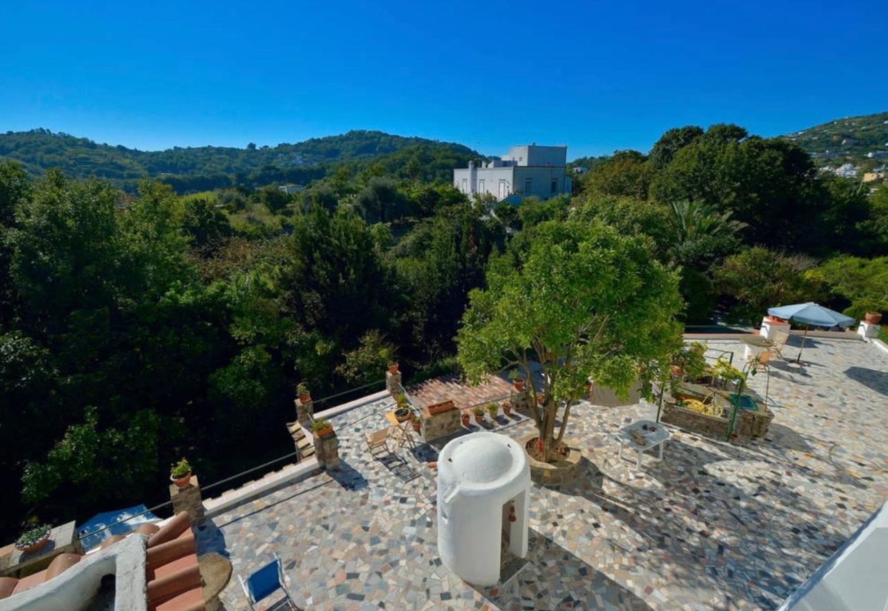 Villa Vincenzo Di Meglio Barano d'Ischia ภายนอก รูปภาพ