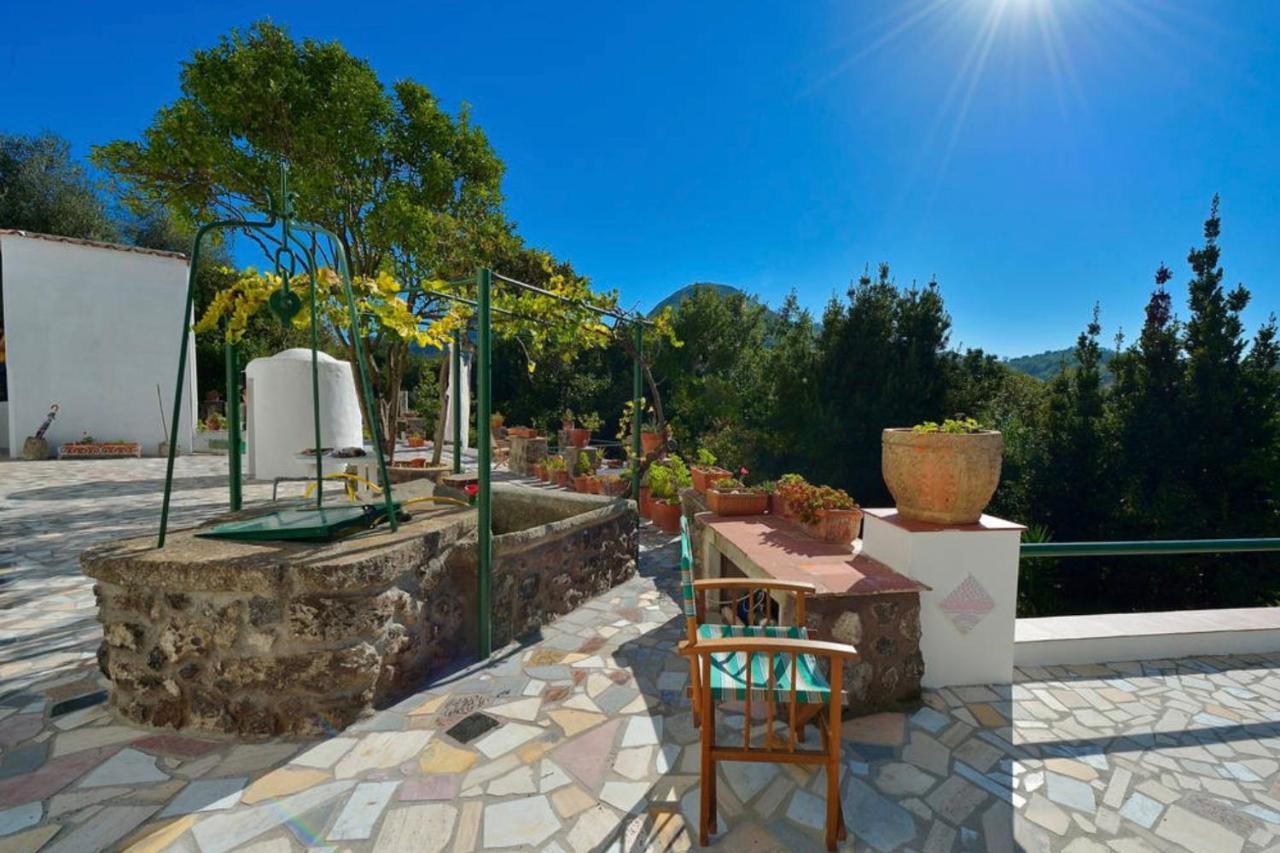 Villa Vincenzo Di Meglio Barano d'Ischia ภายนอก รูปภาพ