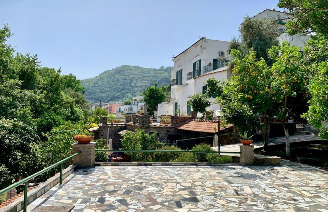 Villa Vincenzo Di Meglio Barano d'Ischia ภายนอก รูปภาพ