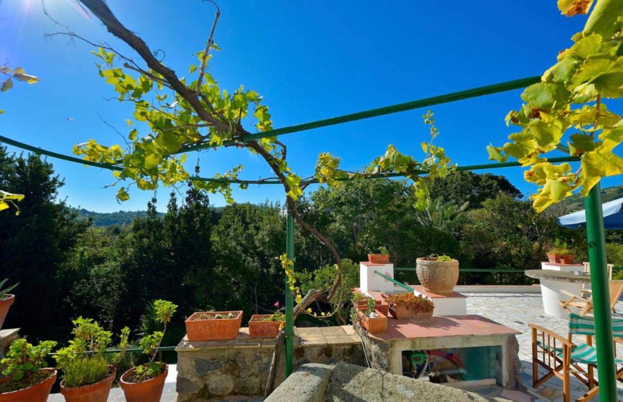 Villa Vincenzo Di Meglio Barano d'Ischia ภายนอก รูปภาพ
