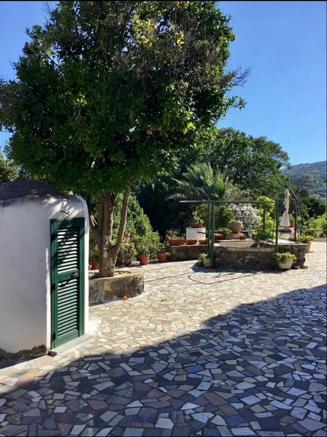 Villa Vincenzo Di Meglio Barano d'Ischia ภายนอก รูปภาพ