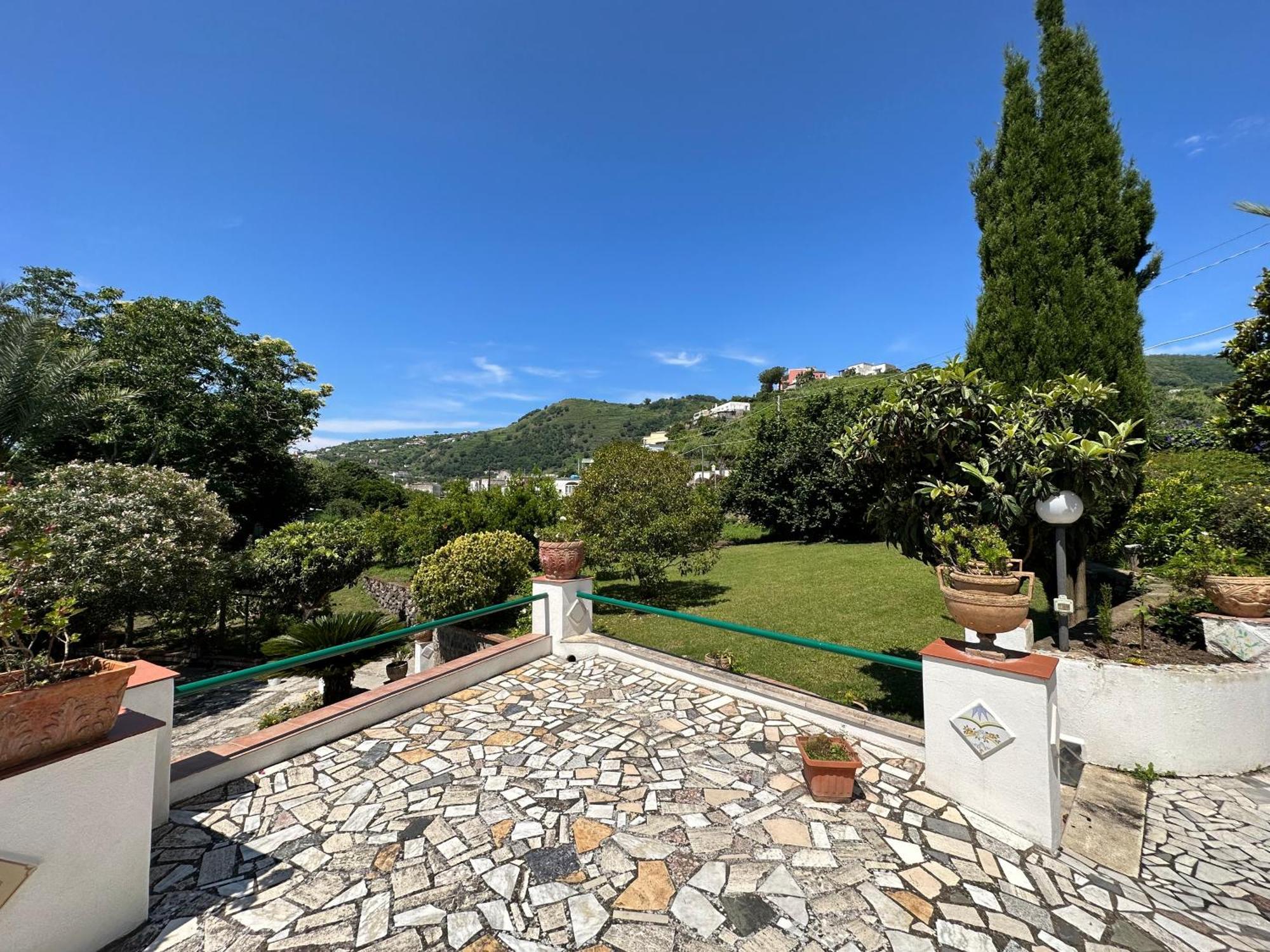 Villa Vincenzo Di Meglio Barano d'Ischia ภายนอก รูปภาพ