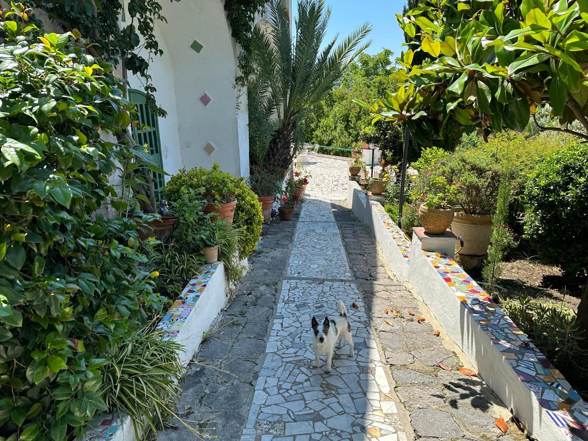 Villa Vincenzo Di Meglio Barano d'Ischia ภายนอก รูปภาพ