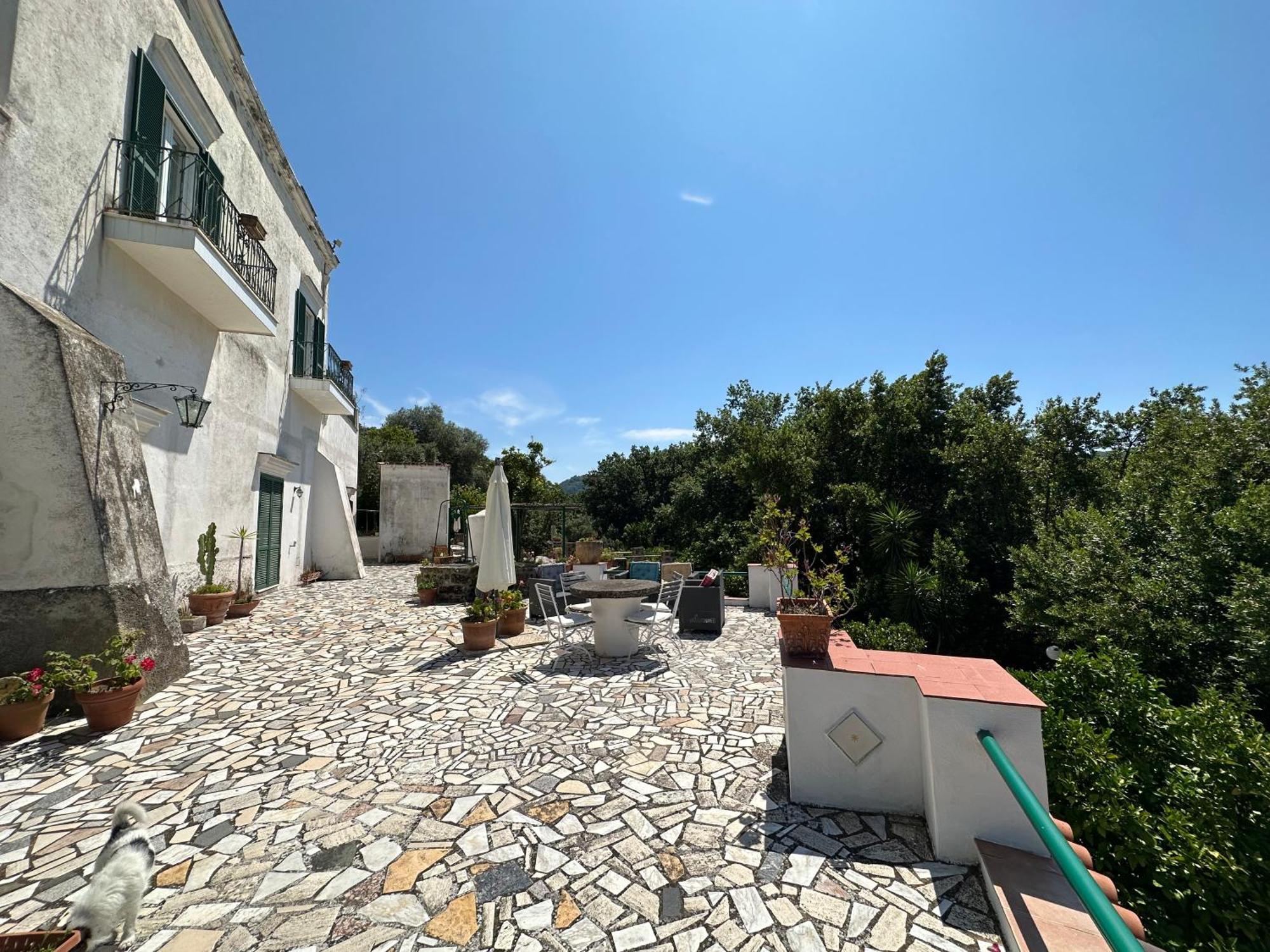 Villa Vincenzo Di Meglio Barano d'Ischia ภายนอก รูปภาพ