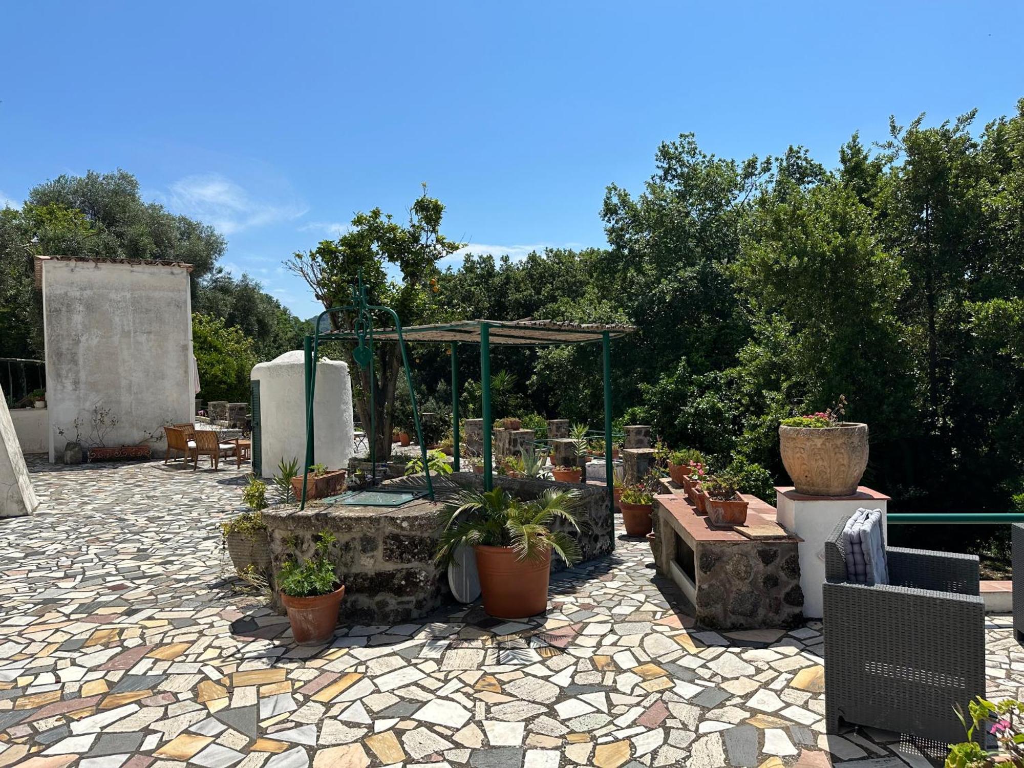 Villa Vincenzo Di Meglio Barano d'Ischia ภายนอก รูปภาพ