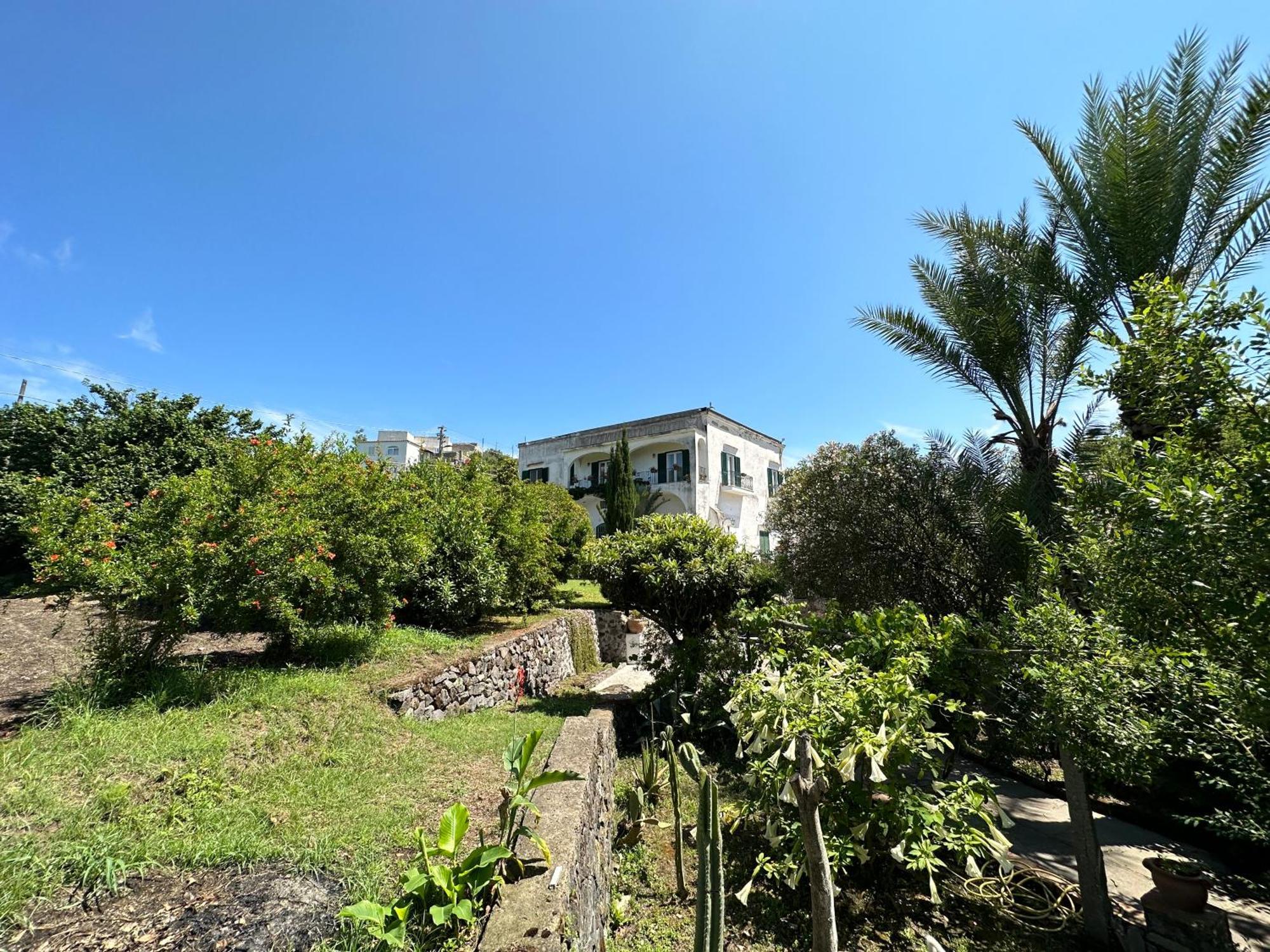 Villa Vincenzo Di Meglio Barano d'Ischia ภายนอก รูปภาพ