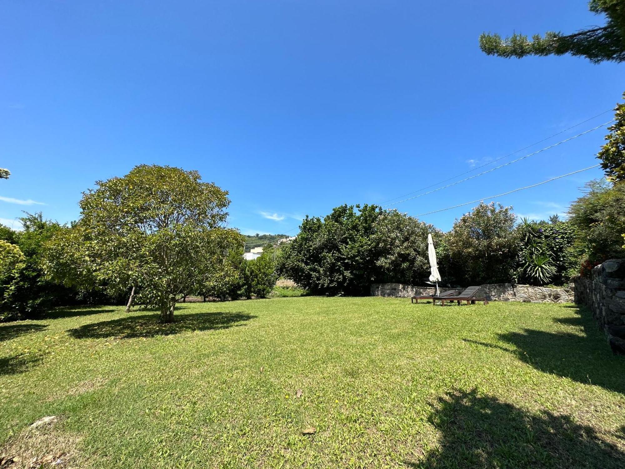 Villa Vincenzo Di Meglio Barano d'Ischia ภายนอก รูปภาพ