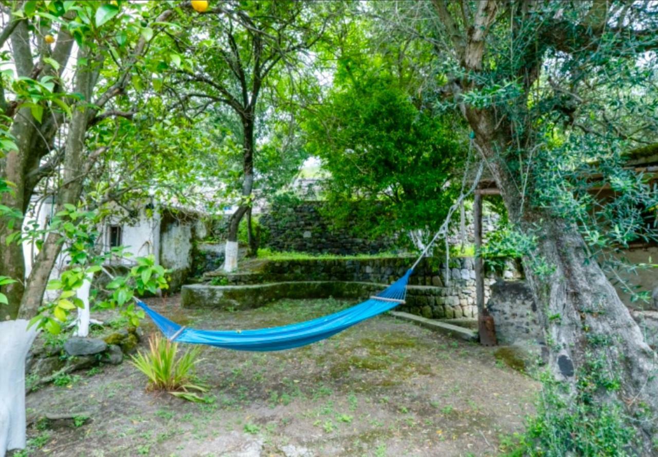 Villa Vincenzo Di Meglio Barano d'Ischia ภายนอก รูปภาพ