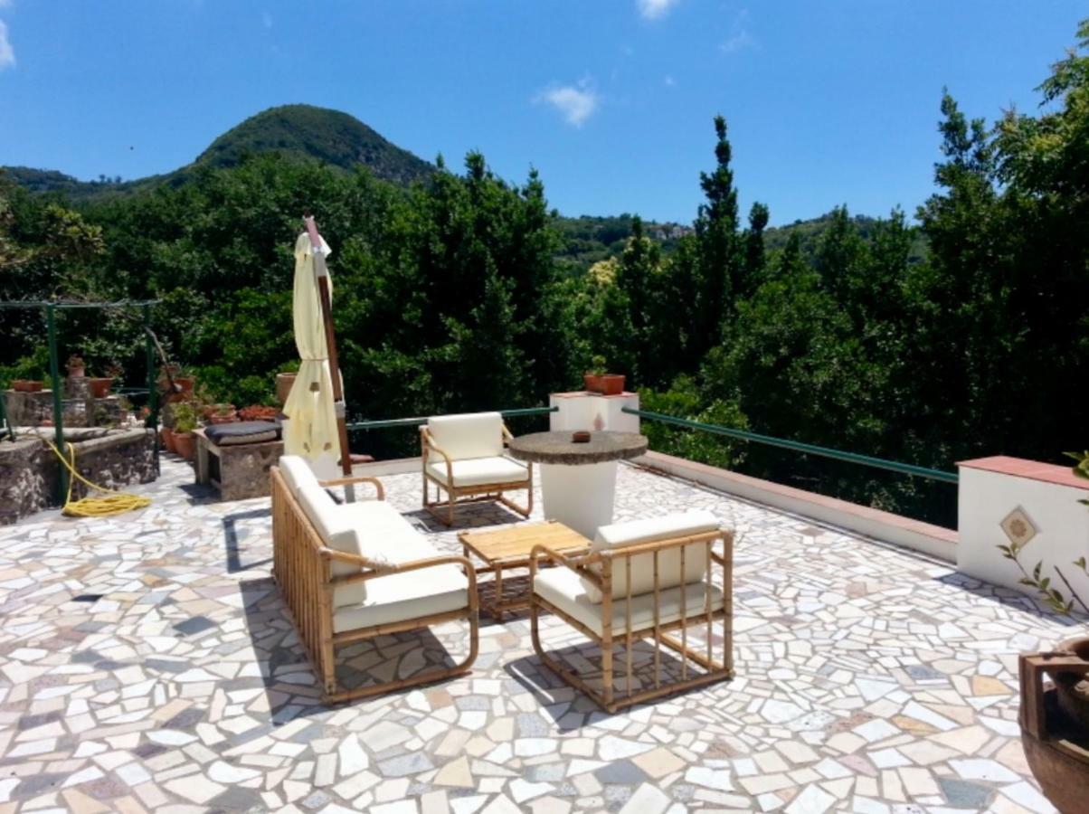Villa Vincenzo Di Meglio Barano d'Ischia ภายนอก รูปภาพ