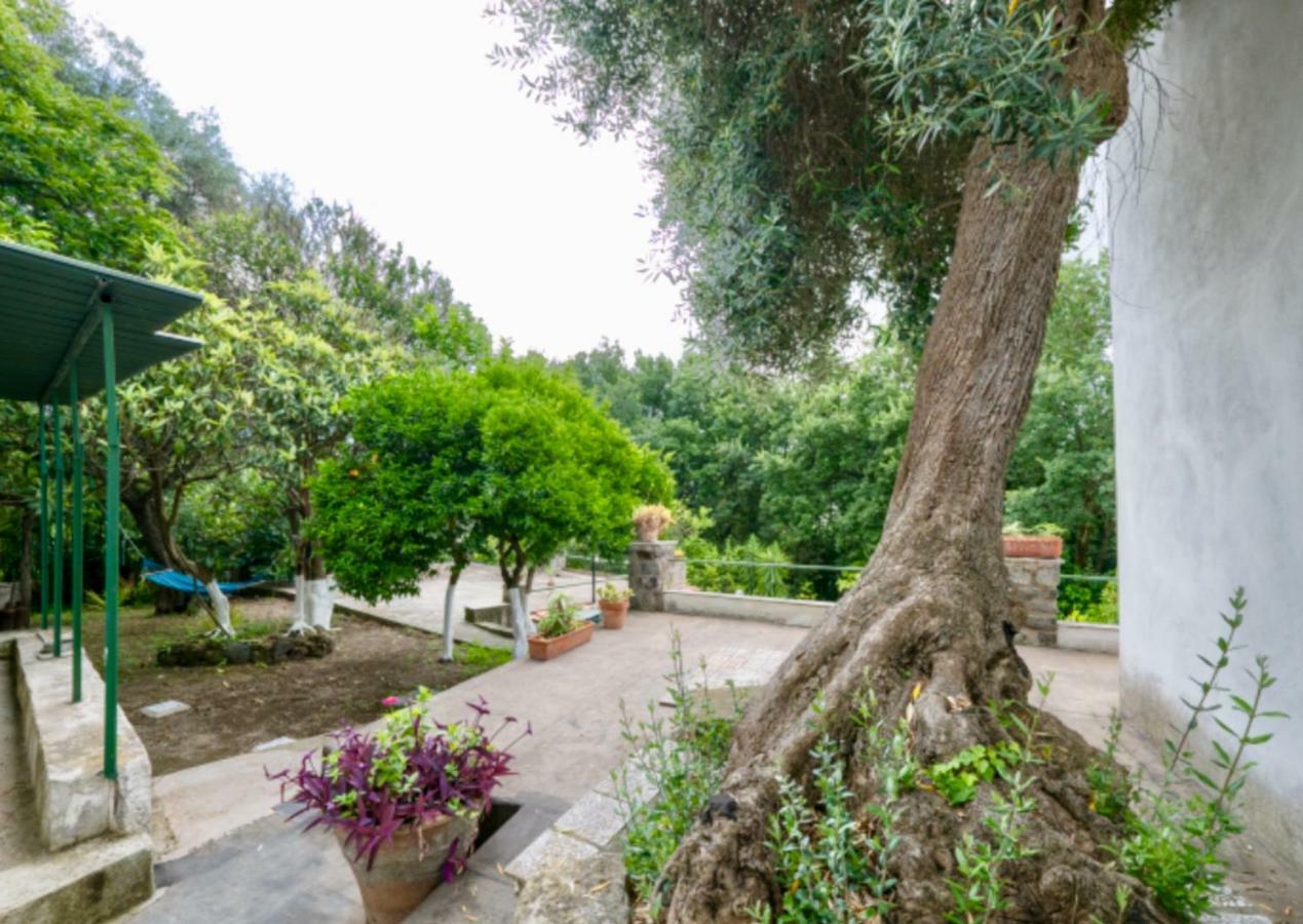 Villa Vincenzo Di Meglio Barano d'Ischia ภายนอก รูปภาพ