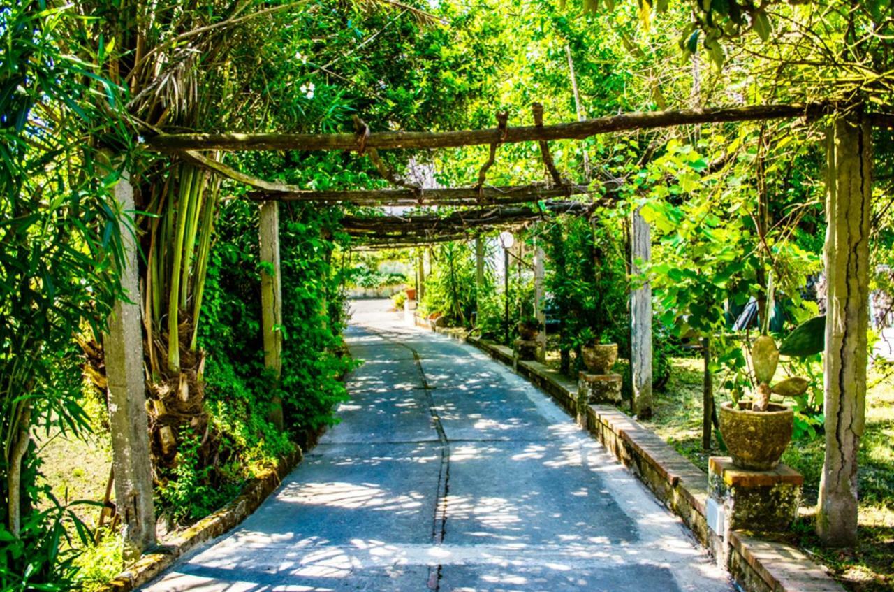 Villa Vincenzo Di Meglio Barano d'Ischia ภายนอก รูปภาพ