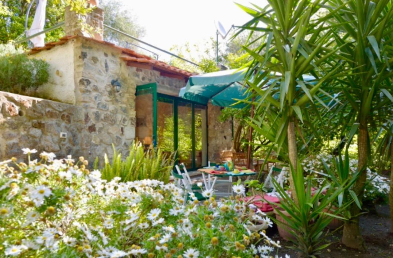Villa Vincenzo Di Meglio Barano d'Ischia ภายนอก รูปภาพ