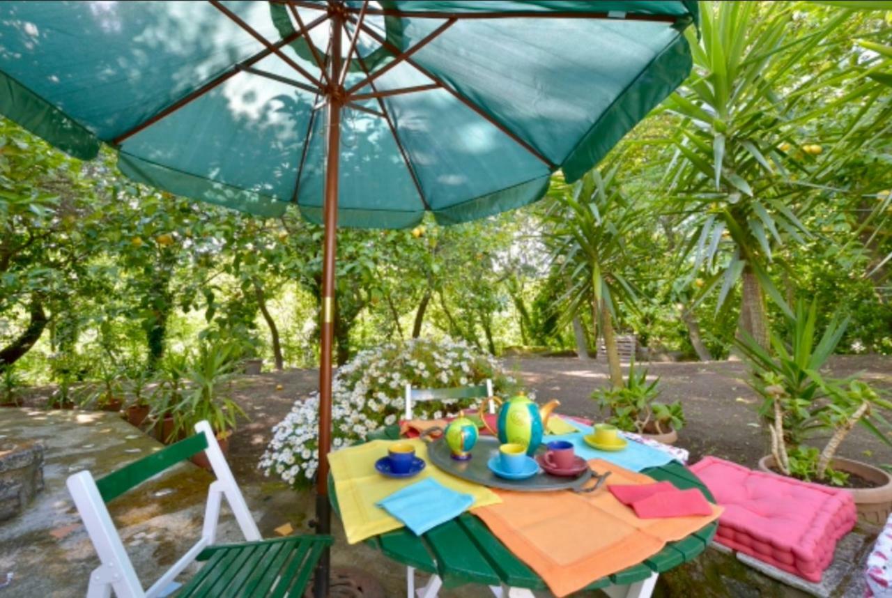 Villa Vincenzo Di Meglio Barano d'Ischia ภายนอก รูปภาพ