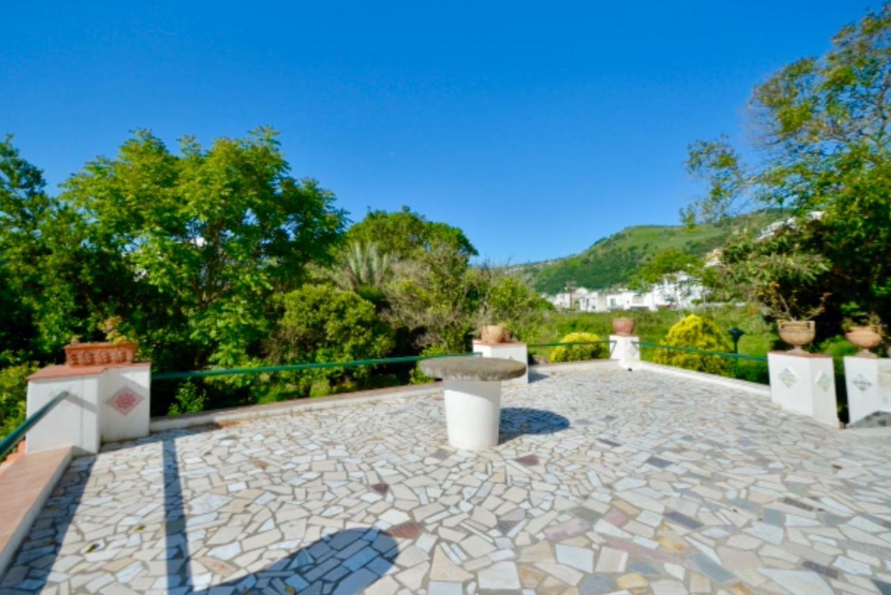 Villa Vincenzo Di Meglio Barano d'Ischia ภายนอก รูปภาพ